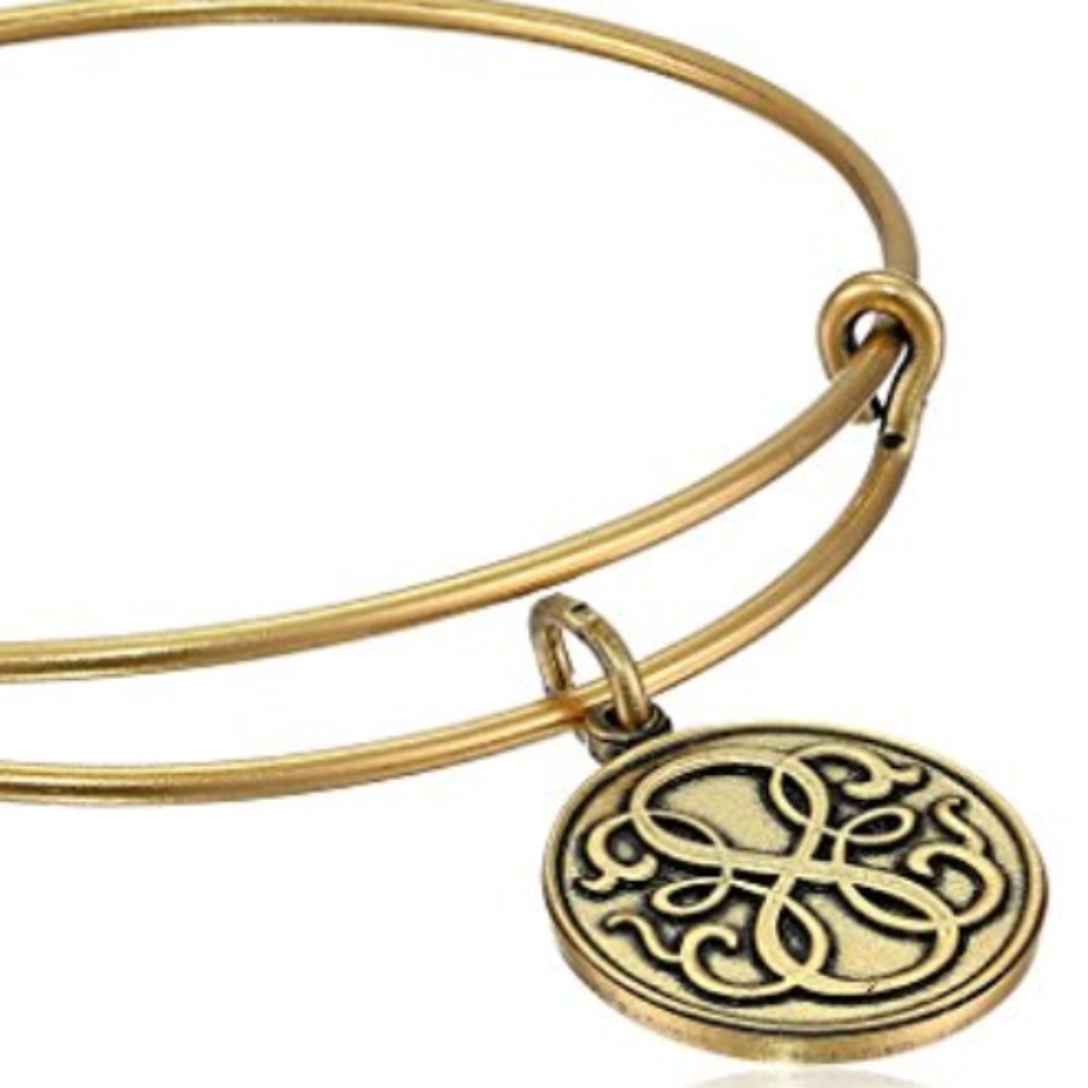 Alex and Ani Bangle Bar "Path of Life"